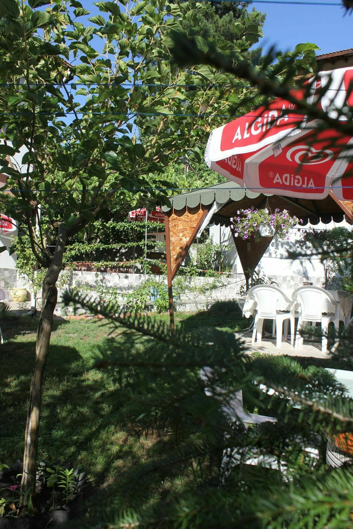 Emiroglu Konak Otel Safranbolu Bagian luar foto